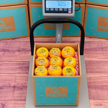 Spanish Kaki Premium Persimmons